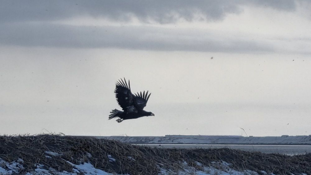 Photograph by Вероника Пакулова