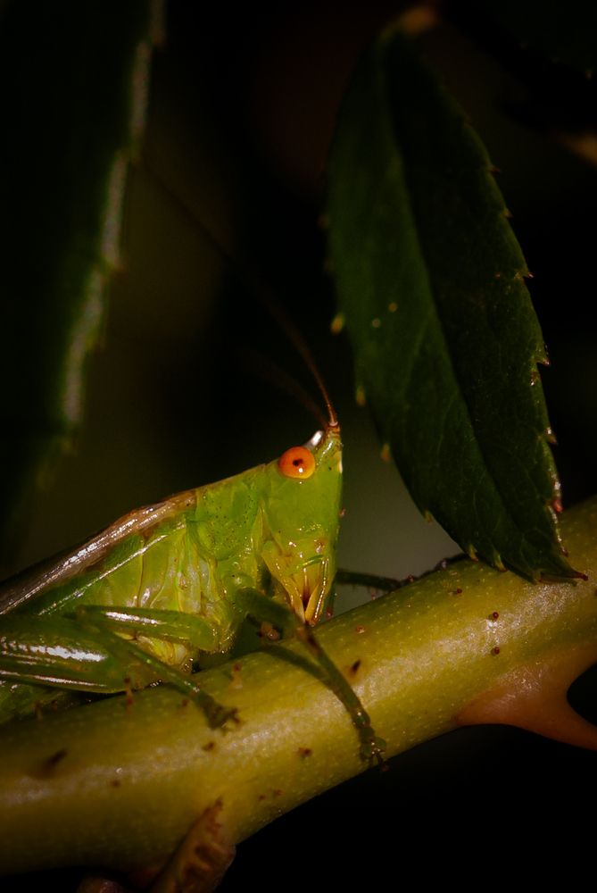 Photograph by Silvina Sánchez