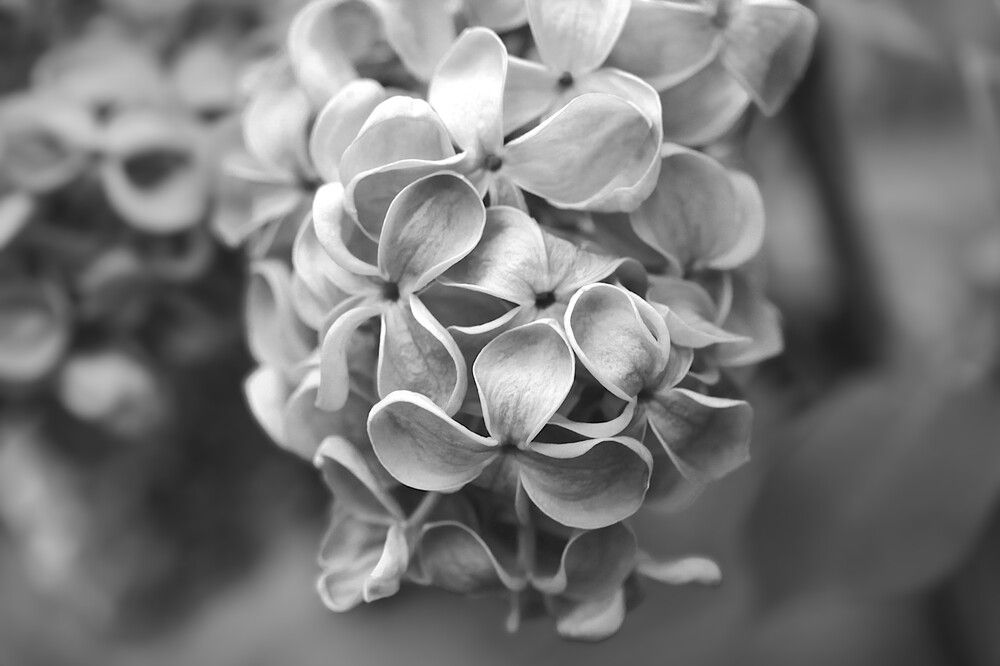 Photograph by Гагик Саркисян