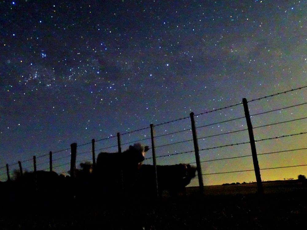 Фотография автора Paula Torrent