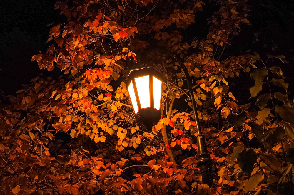 Photograph by Анна Лунева
