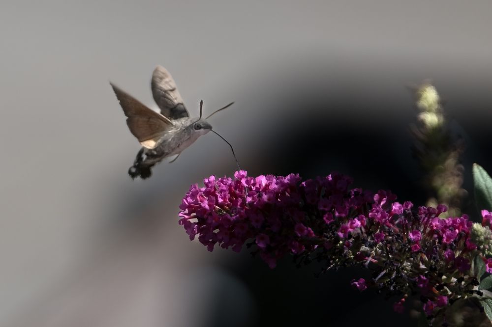 Photograph by Андрей Самородов