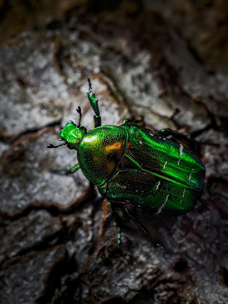 Photograph by Неро Миллена