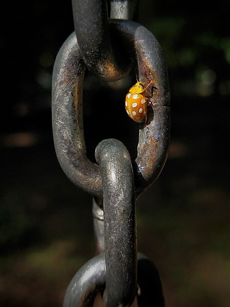 Photograph by Неро Миллена