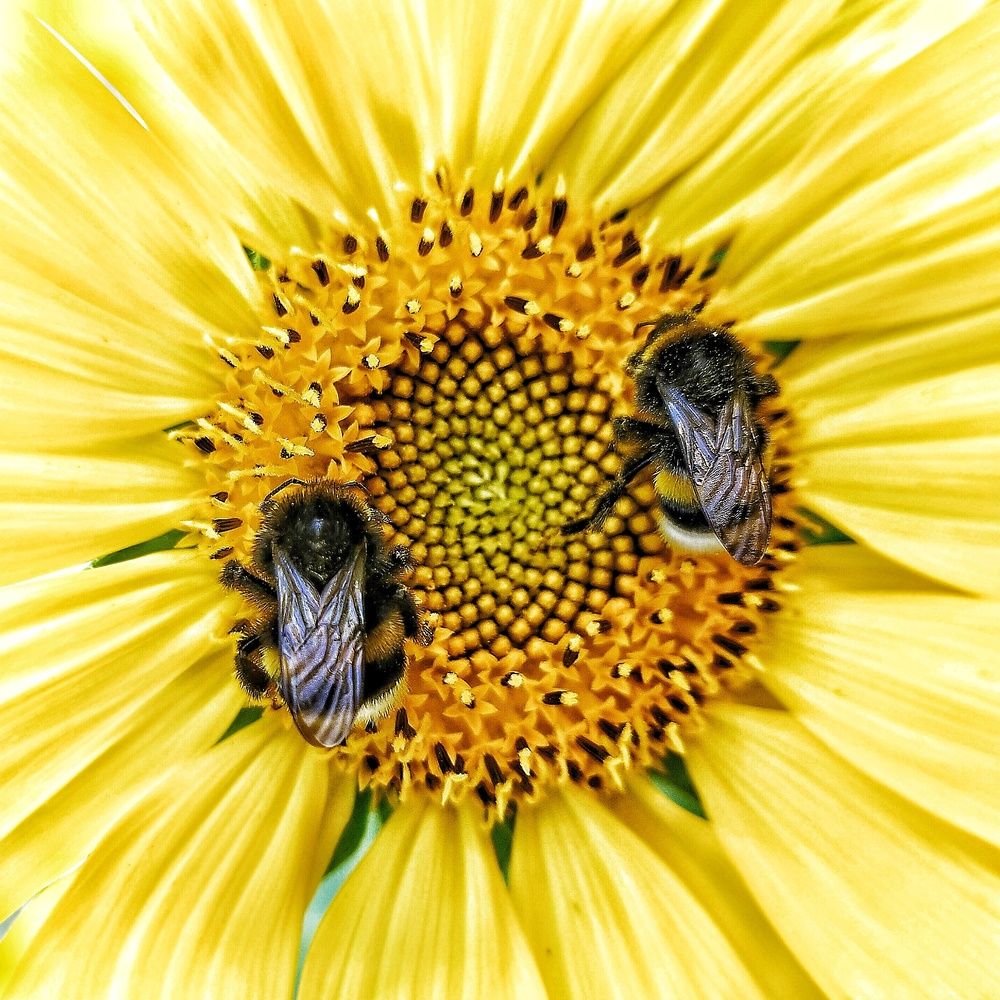 Photograph by Неро Миллена