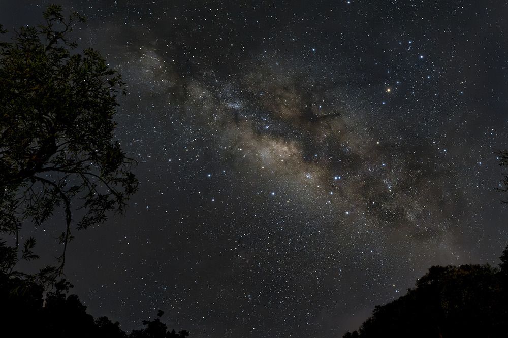 Photograph by Jose Vega