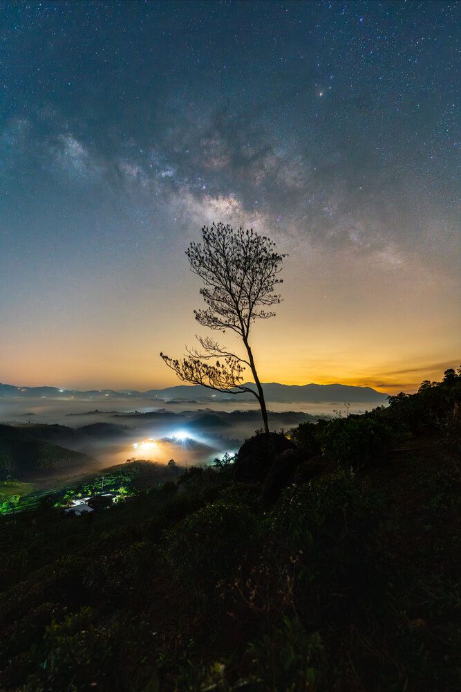 Photograph by Long Quan Lai tran