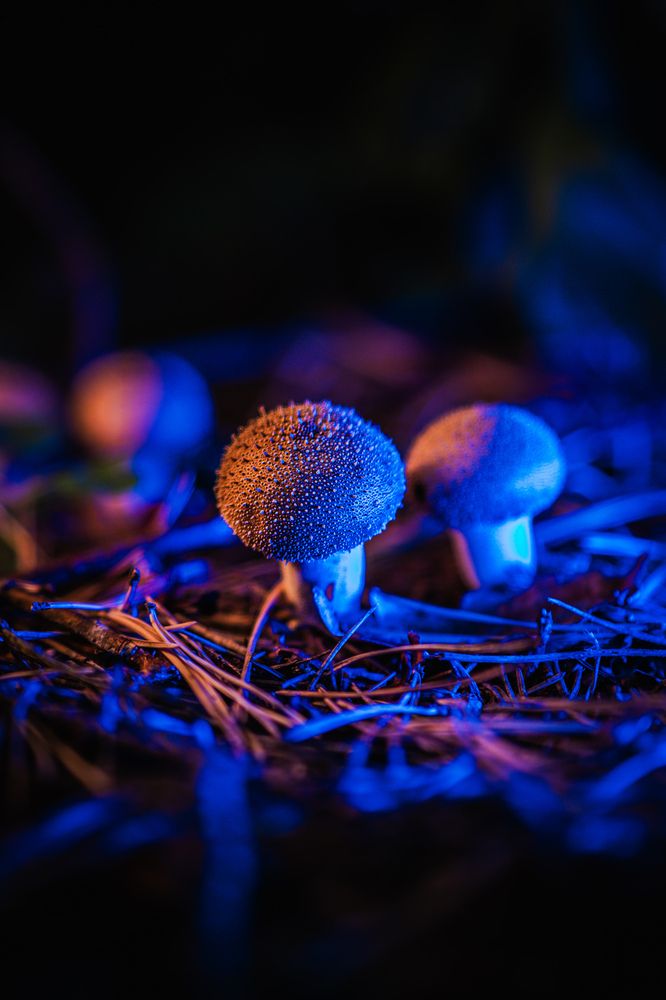 Photograph by Maxim Belous