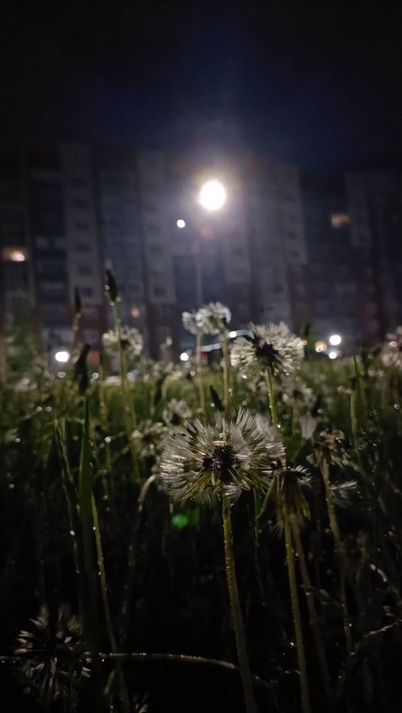 Photo #12062378