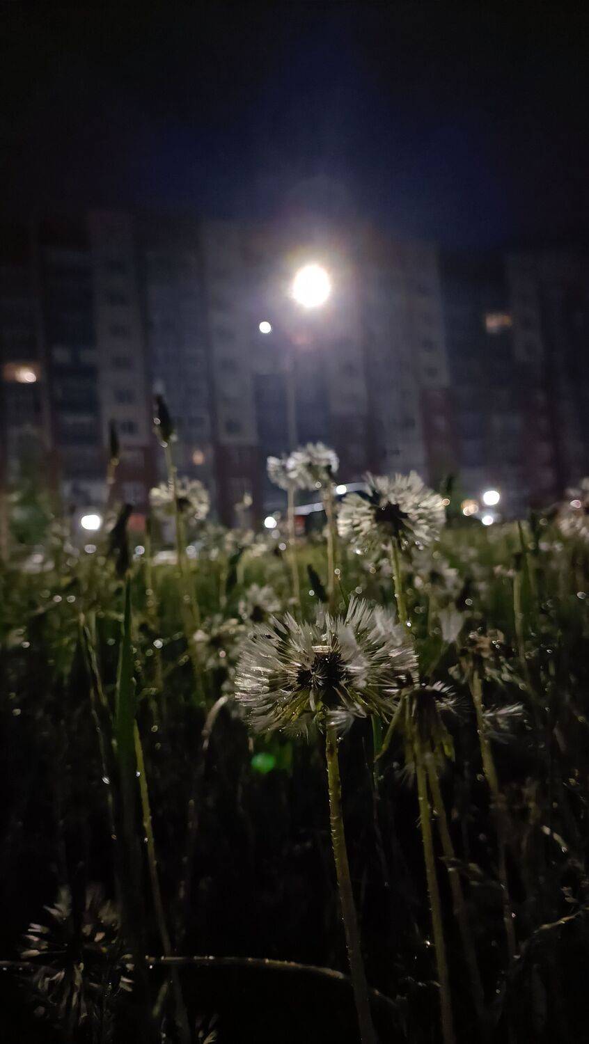 Photo #12062378