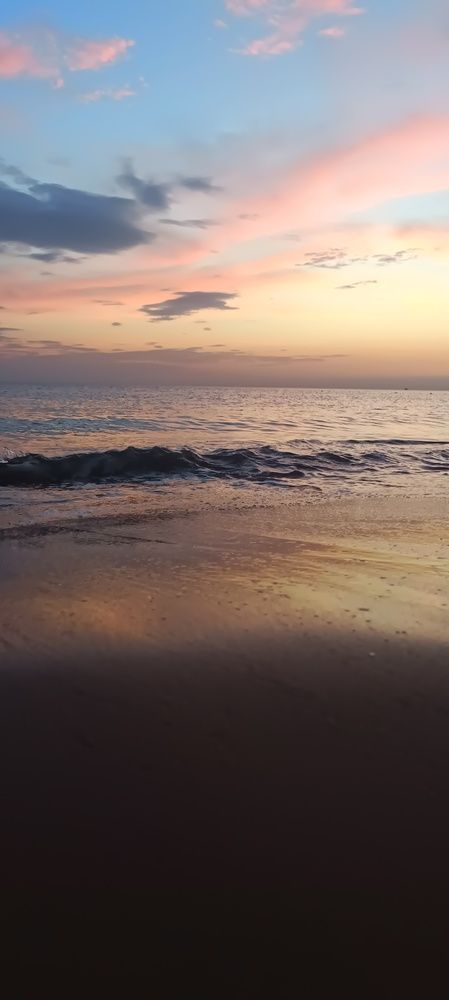 Photo #12062390