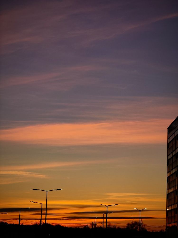 Photo #12062423