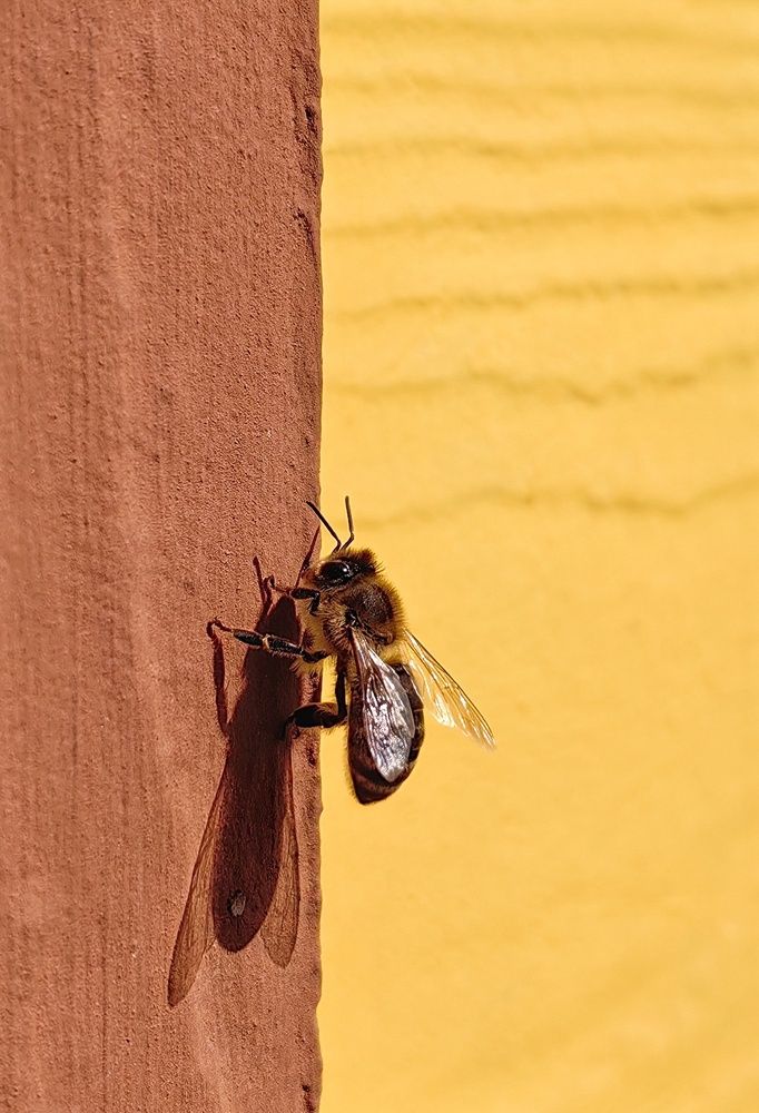 Photograph by Екатерина Тулина