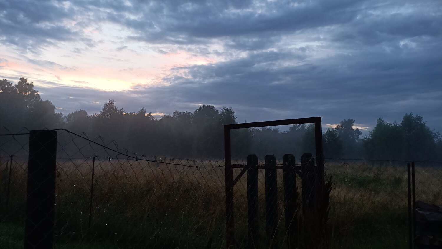 Photo #12062490