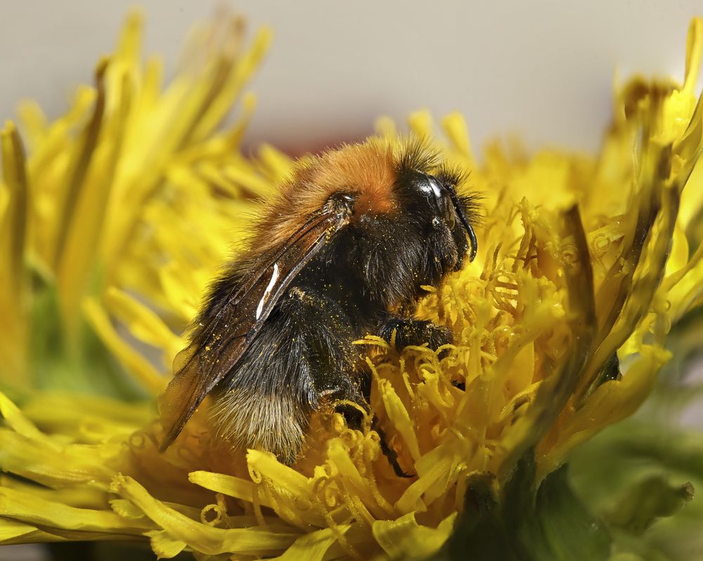 Photograph by Жанна Агафонова