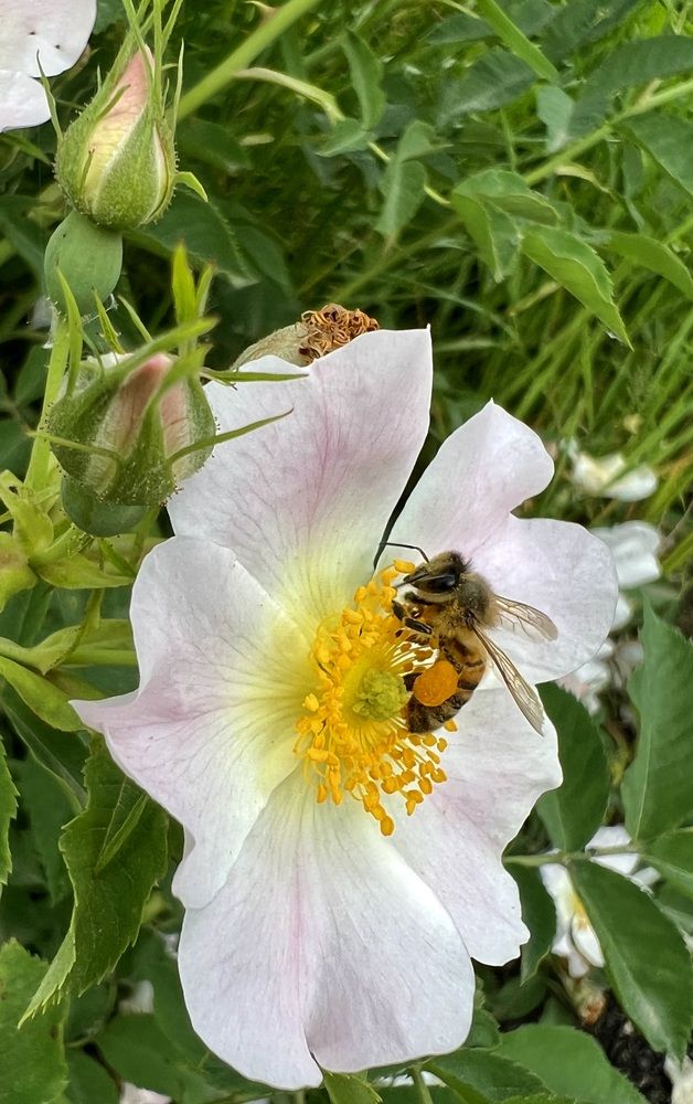 Photograph by Шестакова Наталья