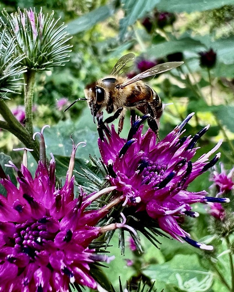 Photograph by Шестакова Наталья