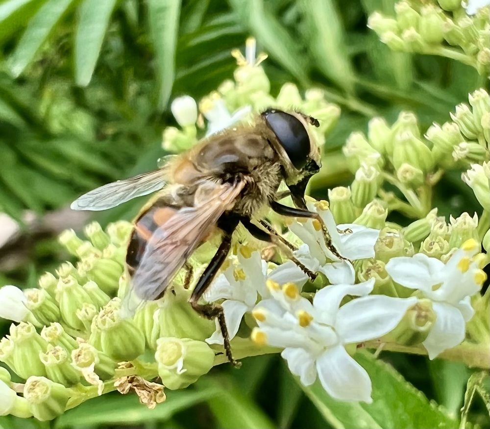 Photograph by Шестакова Наталья