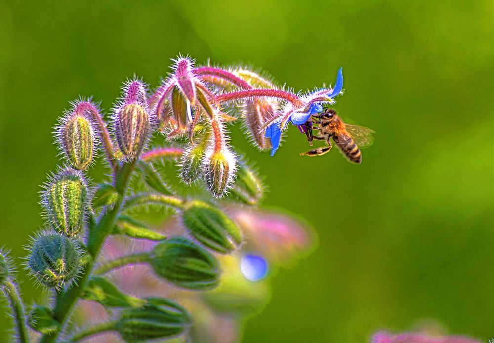 Photograph by Сиваков Алексей