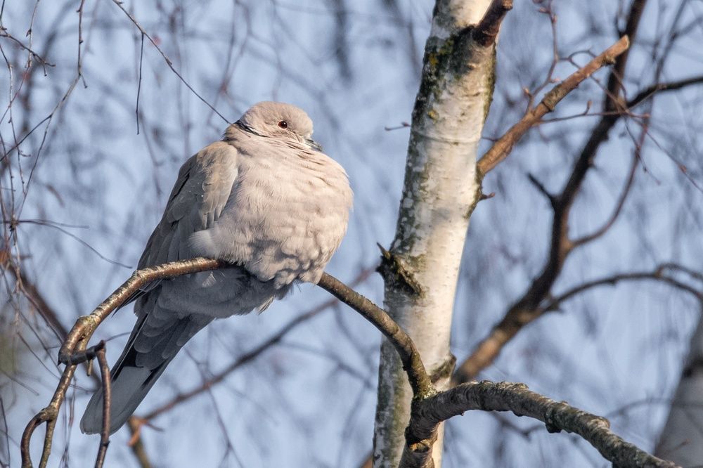Photograph by Фомочкин Алексей
