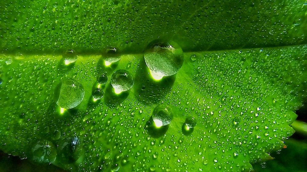 Фотография автора Tharuni Shyamika Lakmali Wella Waduge