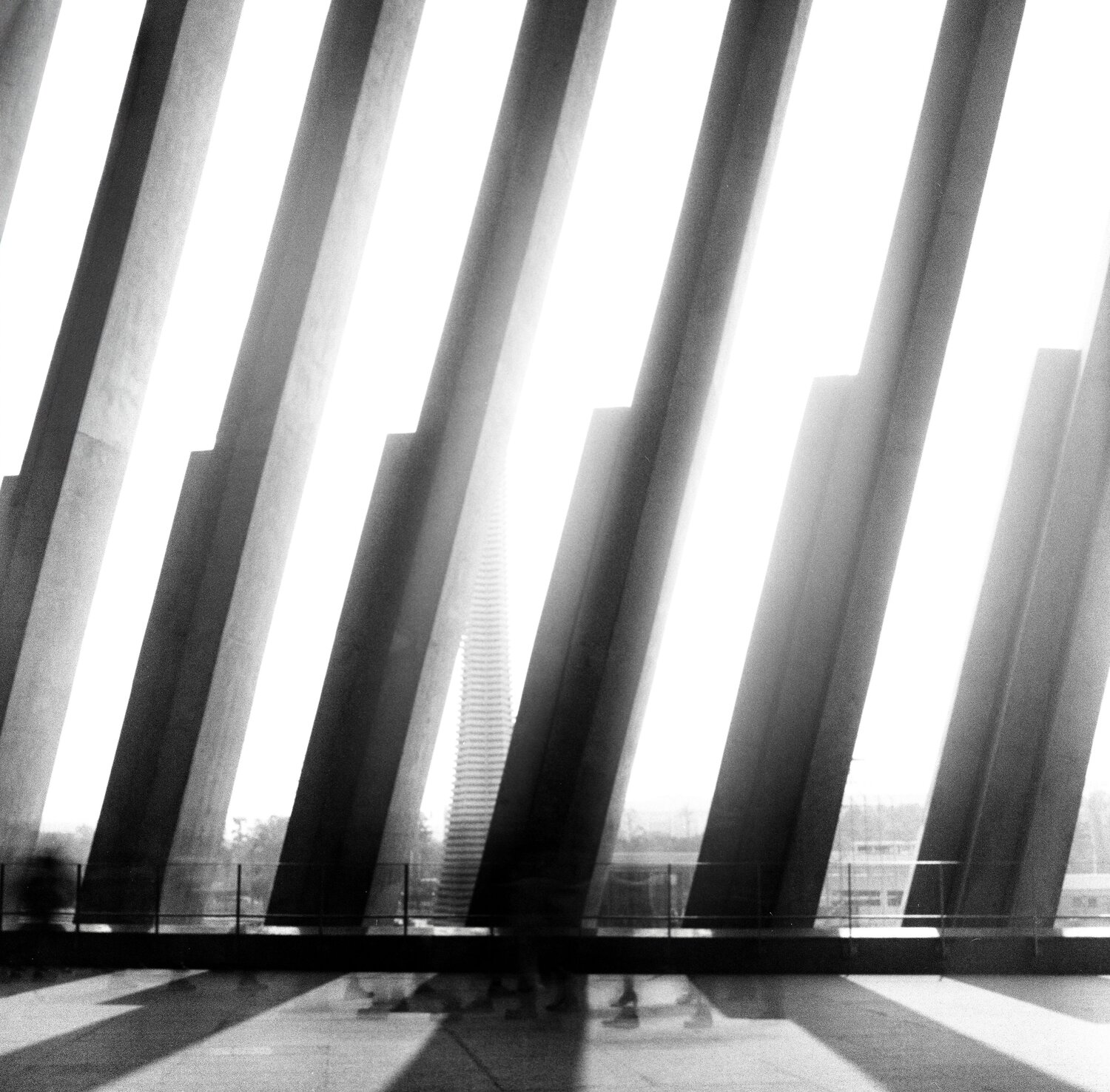 Photo #12062751