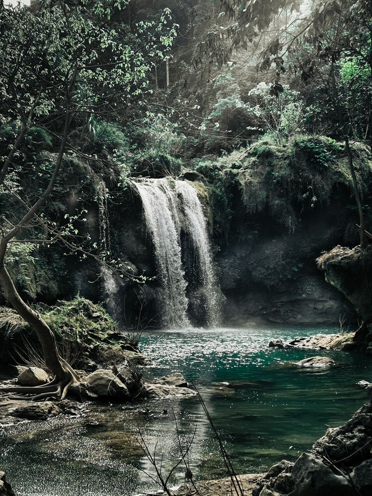 Photograph by Tien Nguyen