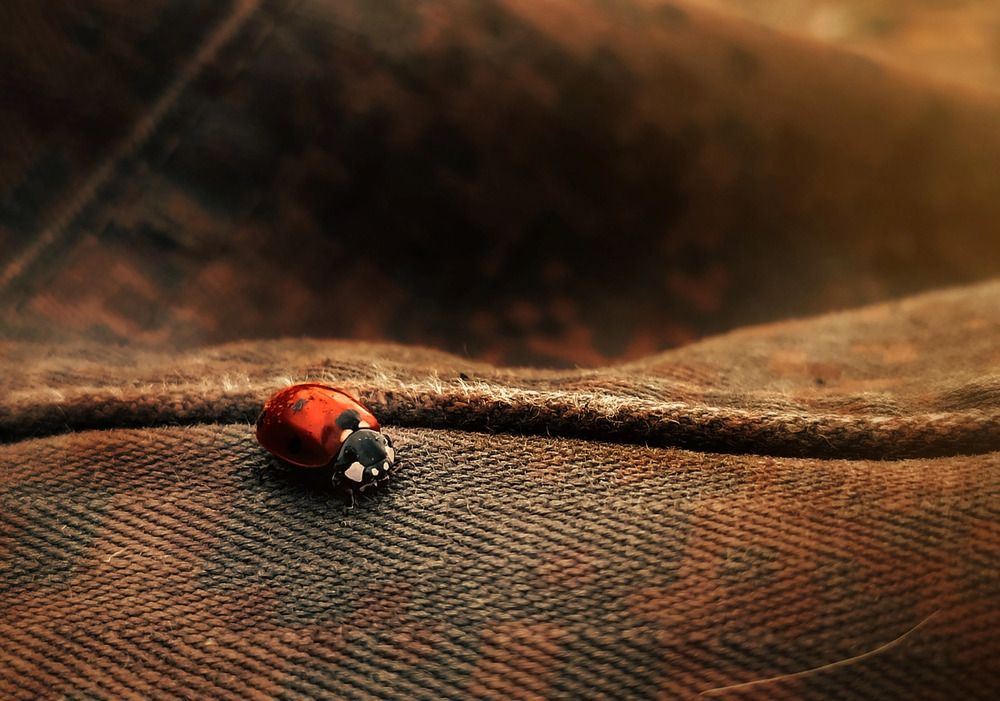 Photograph by Maxim Belous