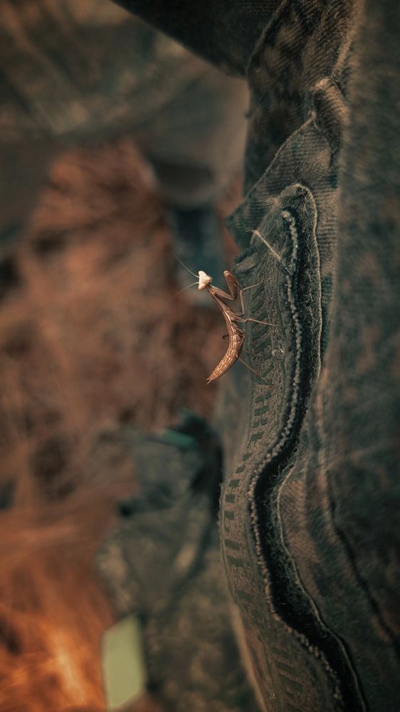 Photograph by Maxim Belous