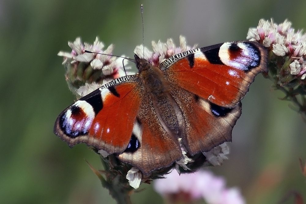 Photograph by Сергей Черных