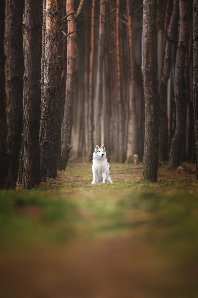 Photograph by Ирина Голомб