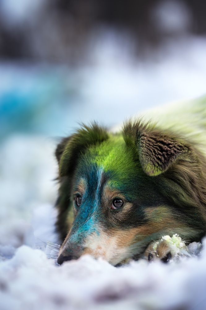 Photograph by Ирина Голомб