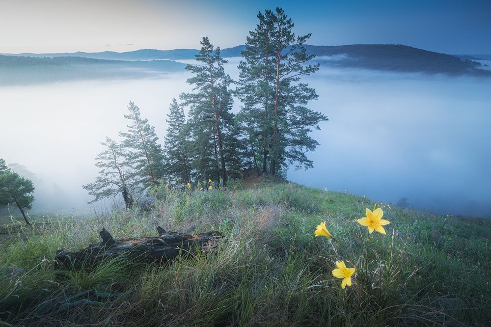 Photograph by Портных Дмитрий