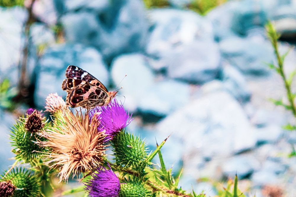 Photograph by Silvana Córdoba