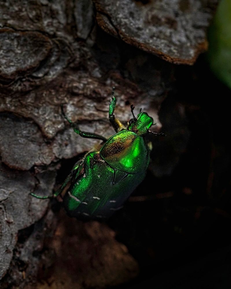 Photograph by Неро Миллена