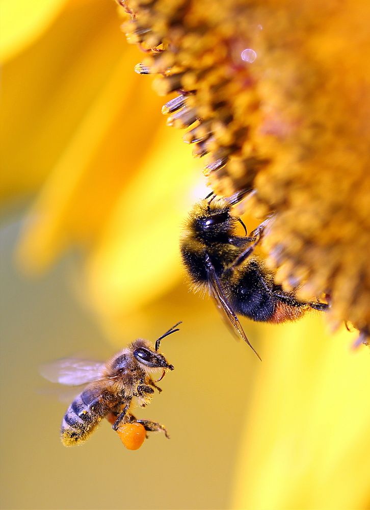 Photograph by Бибичков Михаил