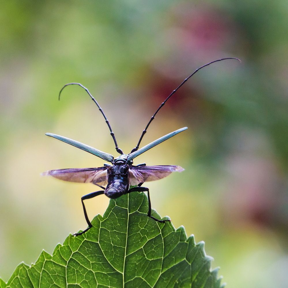 Фотография автора Борис Журавлёв