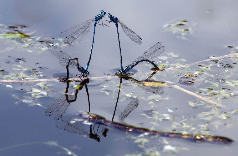 Photograph by Бибичков Михаил