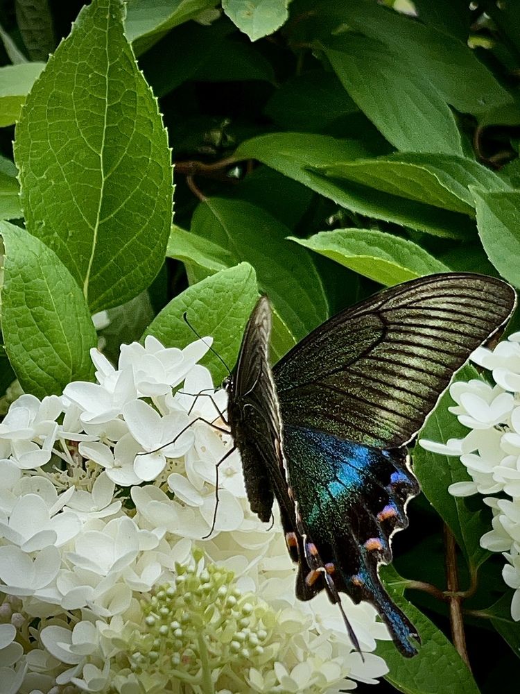 Photograph by Маргарита Сергуткина