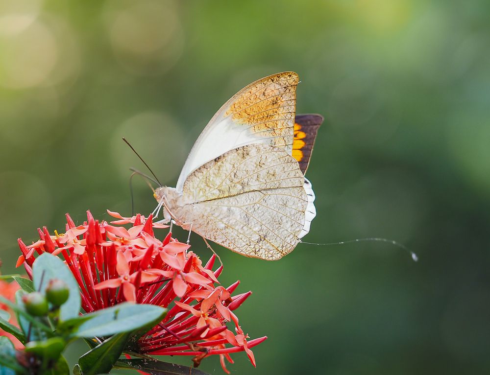 Фотография автора Pham Anh Vu