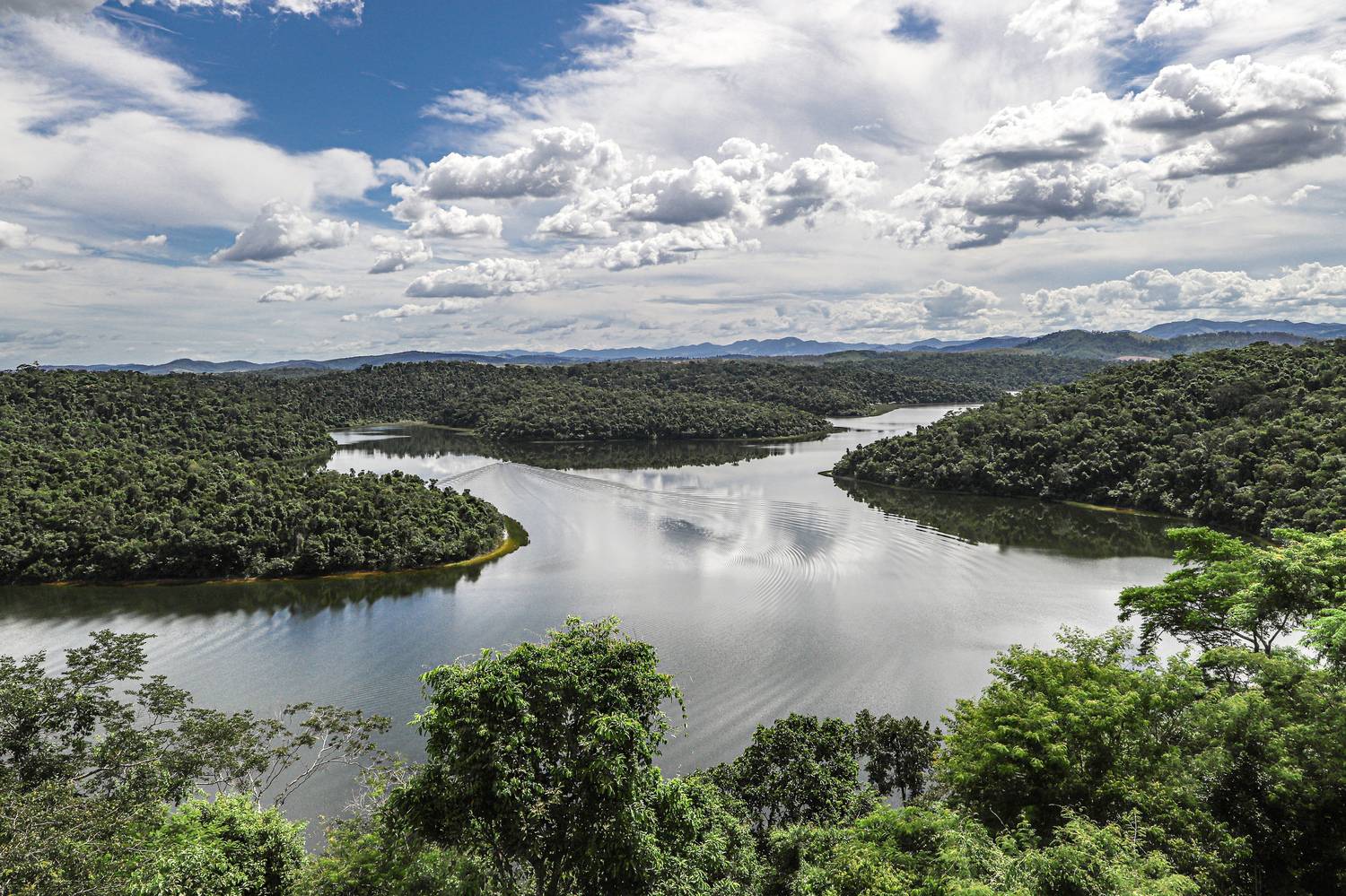 Parque estadual do Rio doce