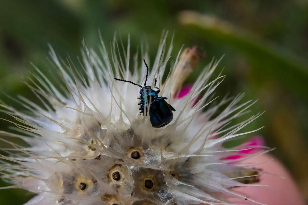 Photograph by Ирина Шибитова