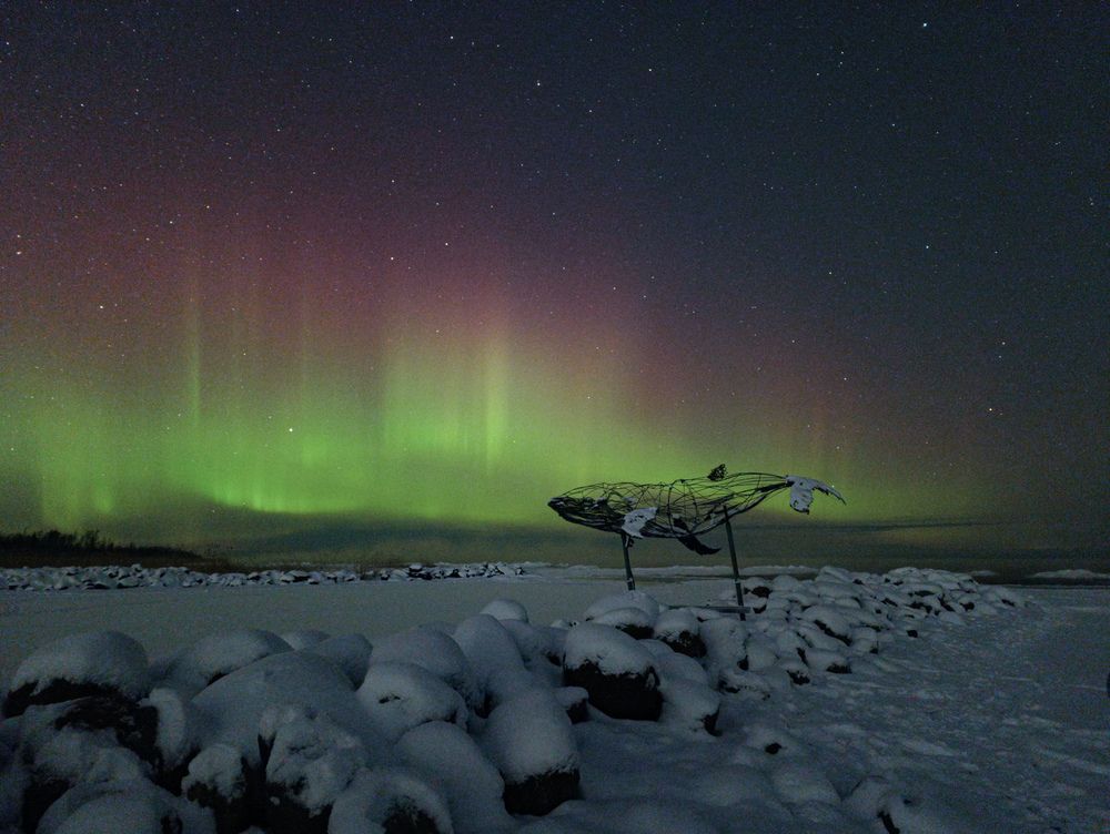 Photograph by Карина Заводчикова