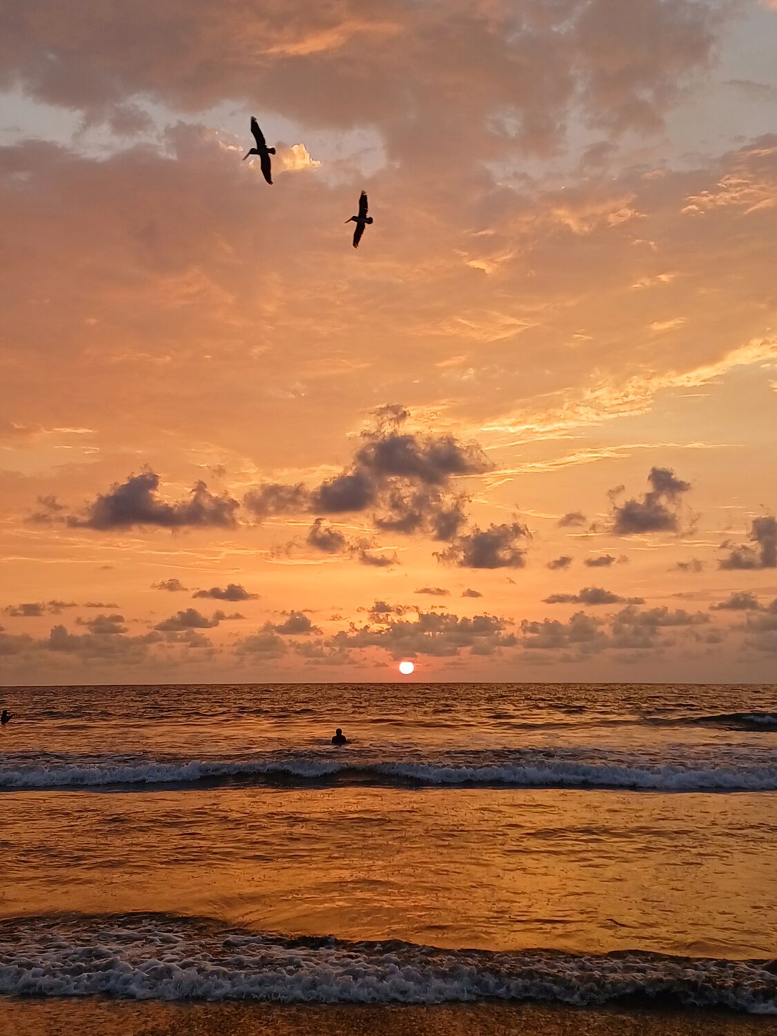 Photo #12063391
