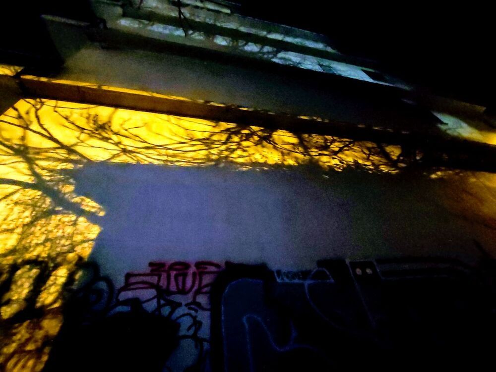 Photograph by Katrina Vassiliou