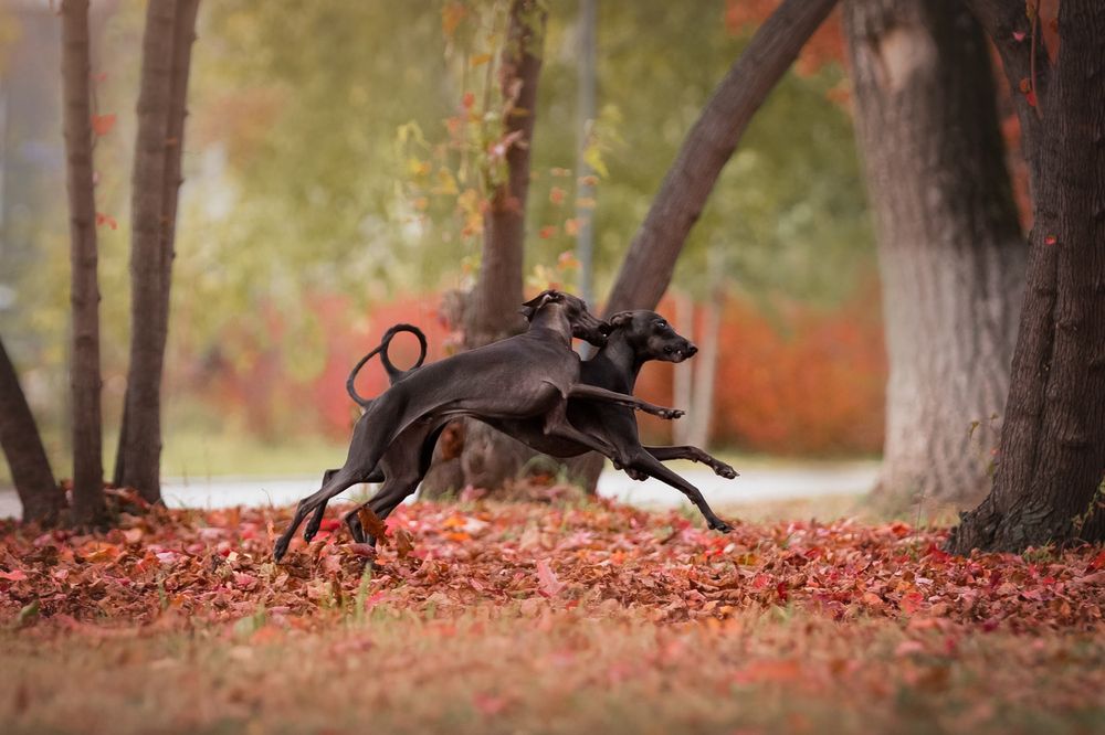 Photograph by Наталья Степанова