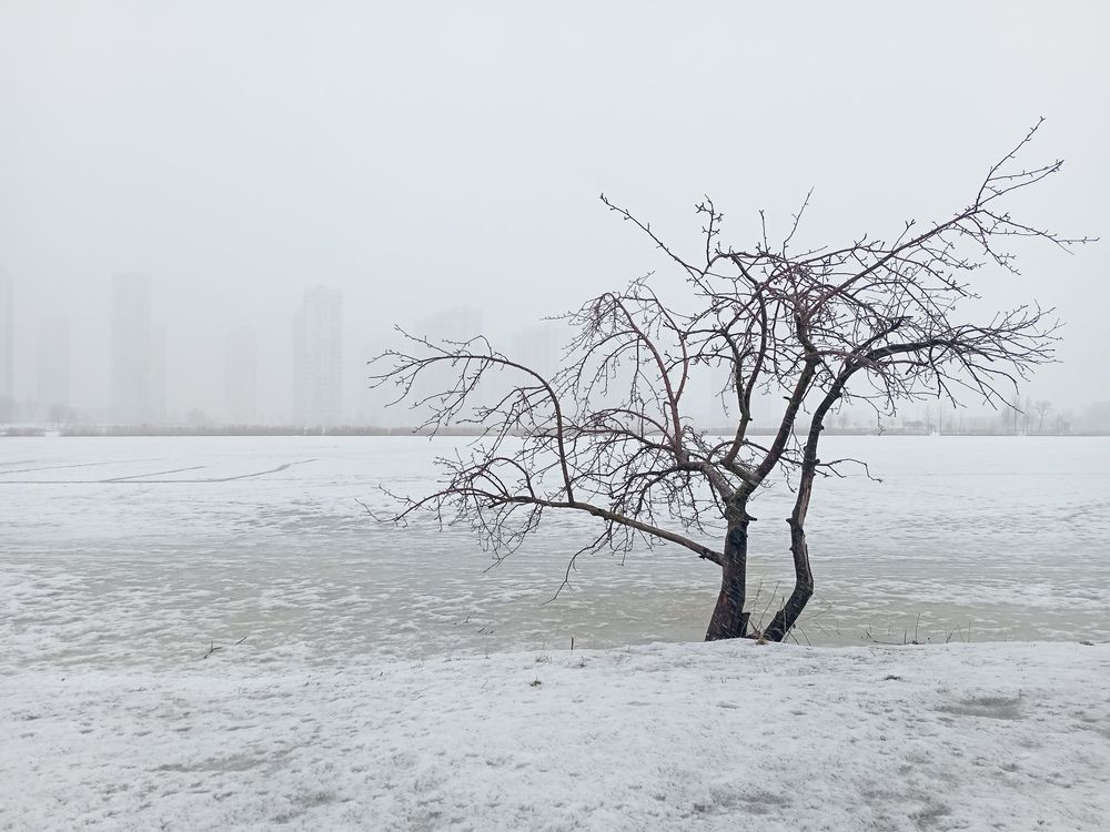 Photograph by Сафронова Любовь