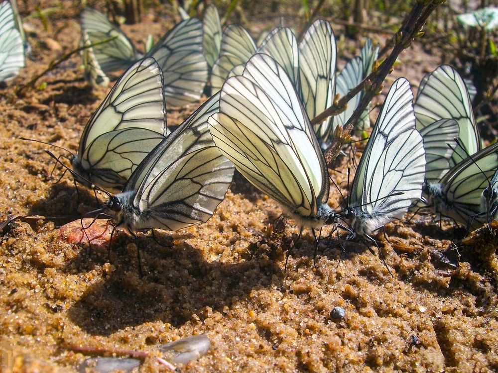 Photograph by Евгения Роде