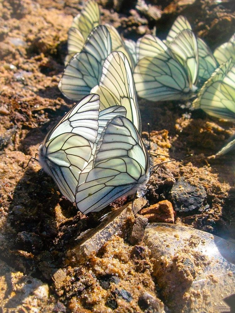 Photograph by Евгения Роде