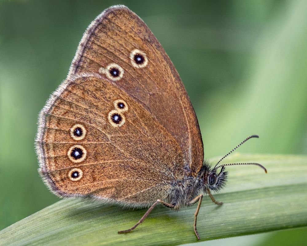 Photograph by Сергей Алексеев